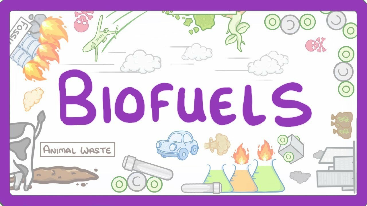 GCSE Physics - Biofuels #12